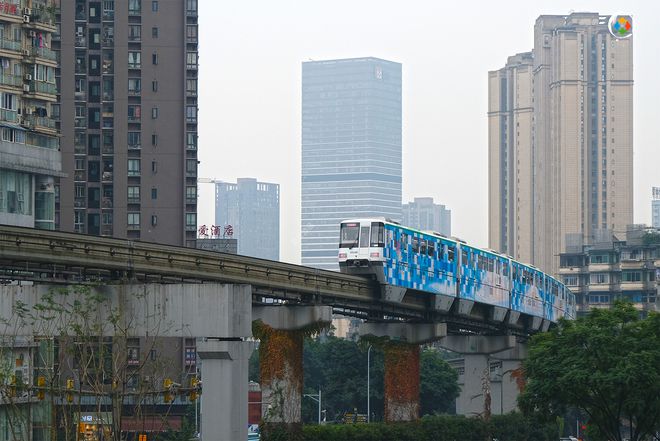 重半岛bandao体育庆一日游攻略：网红打卡与历史人文一条线串联建议收藏(图3)